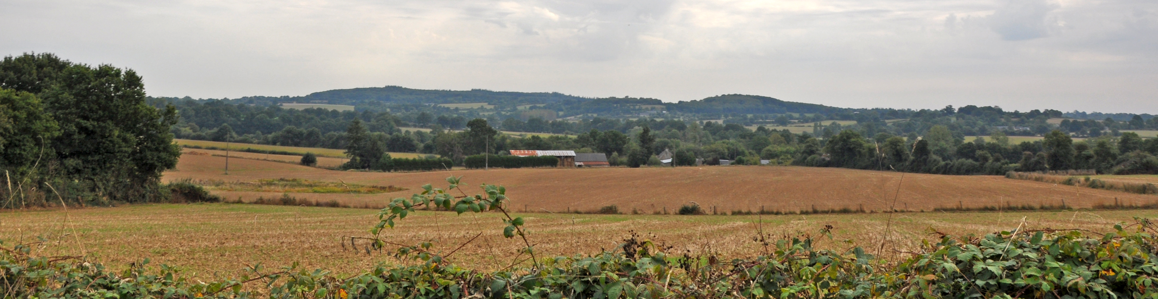 Des crêtes boisées ou bocagères qui marquent l'horizon est de l'unité paysagère : le Bois de Buleu (La-Chapelle-au- Riboul) en grand format (nouvelle fenêtre)