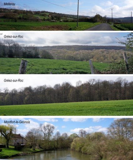 Ambiances de paysages fermés avec des gradients différents entre vallon étroit, clairières boisées et bords de l'Huisne en grand format (nouvelle fenêtre)