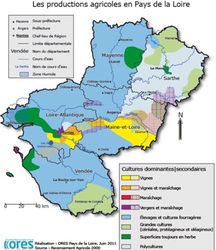 Les productions agricoles en Pays de la Loire (source : ORES/Agreste) en grand format (nouvelle fenêtre)