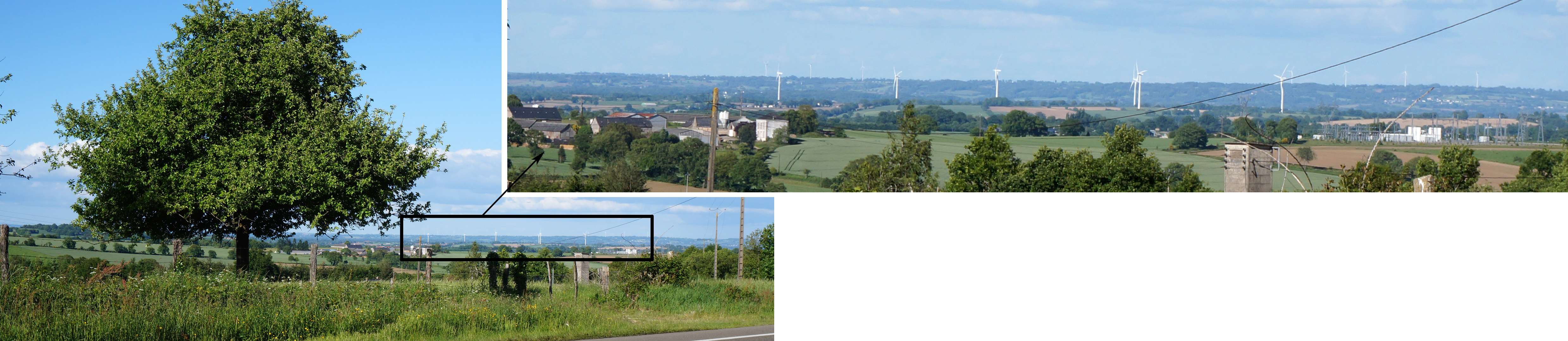 En appui sur la forêt de Mayenne, ouverture au nord-est et vue panoramique plongeante sur le plateau bocager semiouvert dominant la Varenne, les éoliennes d'Oisseau constituent des points de repère dans le paysage (Châtillon-sur-Colmont) en grand format (nouvelle fenêtre)
