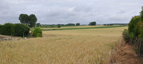 Les intercalations de blé et de maïs forment des patchworks de couleurs dans le paysage en grand format (nouvelle fenêtre)