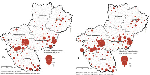 Cartographie des exploitations arboricoles et maraîchères (source : ORES/RRA/CA) en grand format (nouvelle fenêtre)