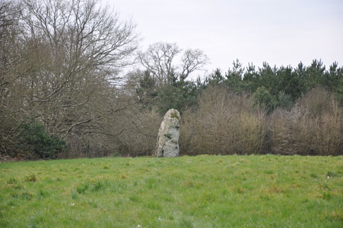 Menhir des Louères à Saint-Aubin-des-Châteaux (44) en grand format (nouvelle fenêtre)