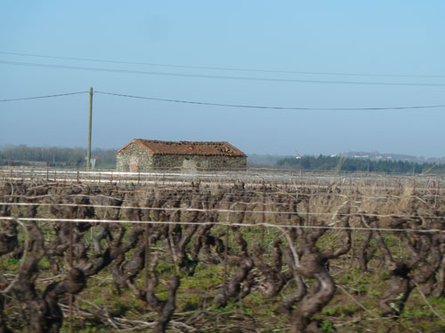 Maison de vigne dans le vignoble nantais en grand format (nouvelle fenêtre)
