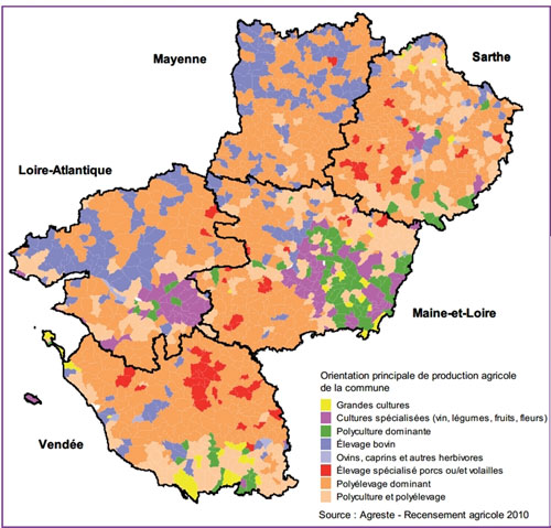 Orientation principale des productions agricoles des communes (source : Agreste – Recensement agricole 2010) en grand format (nouvelle fenêtre)