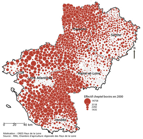 Cartographie des effectifs de cheptels bovins (source : ORES/RRA/CA) en grand format (nouvelle fenêtre)