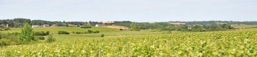 Des coteaux viticoles doux habités, entrecoupés de vallons encaissés boisés (Chalonnes-sur-Loire) en grand format (nouvelle fenêtre)