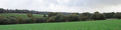 La forêt de Craon, dernière crête forestière orientée marquant la limite nord des marches entre Anjou et Bretagne (Ballots) en grand format (nouvelle fenêtre)