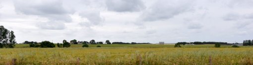 Paysage ouvert sur le plateau cultivé ponctué de chênes isolés ou de haies rélictuelles (Saint-Sulpice-Le-Verdon) en grand format (nouvelle fenêtre)