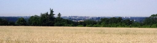 Ligne boisée du coteau de la Mayenne et de sa confluence avec la Sarthe, ponctuée de petits volumes blancs dont la densité signale la proximité avec le coeur d'agglomération en grand format (nouvelle fenêtre)