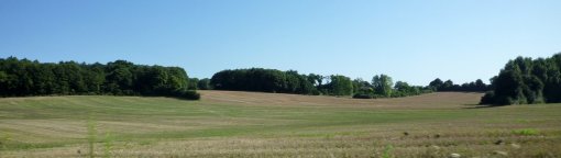 Vallon du Riboux (affluent de la Sarthe au niveau de Malicorne-sur-Sarthe) relief lisible et fond de vallon densément végétalisé fermant le paysage (Bousse) en grand format (nouvelle fenêtre)