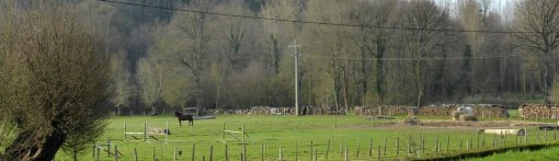 Le maintien des activités traditionnelles d'élevage participe à la diversité des paysages ruraux (Torcé-en-Vallée) en grand format (nouvelle fenêtre)