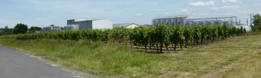 Peu à peu, l'activité viticole change d'échelle : ici la construction des entrepôts et des cuves confèrent un caractère industriel à l'exploitation (Vaudelnay - 2015) en grand format (nouvelle fenêtre)