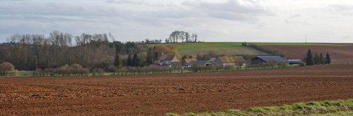 Un bâti rural qui s'intègre dans la trame végétale des vallons en pied de cuesta (Thoiré-sous-Contensor) en grand format (nouvelle fenêtre)