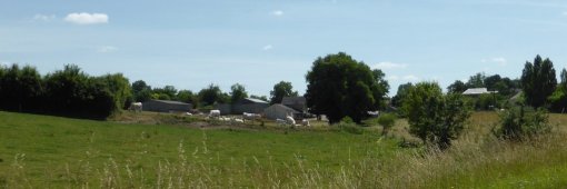 Dans les secteurs de vallée, quelques activités d'élevage se maintiennent (Aubigné-sur-Layon - 2015) en grand format (nouvelle fenêtre)