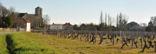 Enclave viticole des Fiefs Vendéens à Rosnay en grand format (nouvelle fenêtre)