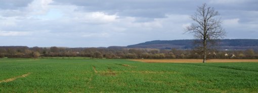 Une crête marquée qui domine la plaine de son horizon boisé (Montigny) en grand format (nouvelle fenêtre)