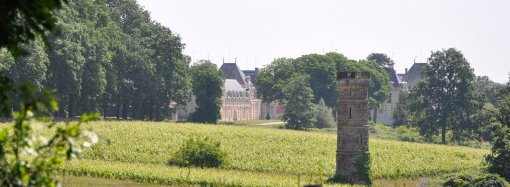 Un patrimoine de châteaux entourés d'un parc qui cadre les perspectives sur la Loire : Château de Clermont (Le Cellier) en grand format (nouvelle fenêtre)