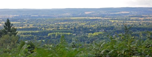 Des vues en belvédère sur la plaine bocagère nord qui semble développer un vaste tapis forestier interrompu de clairières cultivées (La Fresnaye-sur-Chedouet) en grand format (nouvelle fenêtre)