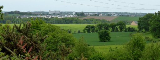Le maintien des haies bocagères participe au maintien de la diversité des paysages agricoles (Laval) en grand format (nouvelle fenêtre)