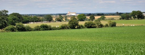 Sur les zones les plus planes une trame bocagère plus distendue qui révèle le bâti rural et les silos liés aux cultures (Vern-d'Anjou) en grand format (nouvelle fenêtre)