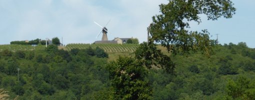 La préservation des panoramas sur les éléments du patrimoine tel que les moulins est un enjeu de l'unité. (Thouarcé) en grand format (nouvelle fenêtre)