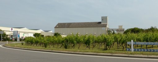 Certains bâtis liés à l'activité agricole sont très visibles dans le paysage (Saint-Sulpice) en grand format (nouvelle fenêtre)