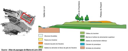 Coupe de principe permettant de comprendre l'organisation des couches géologiques et le jeu de l'érosion (source Atlas des paysages de Maine-et-Loire 2002) en grand format (nouvelle fenêtre)