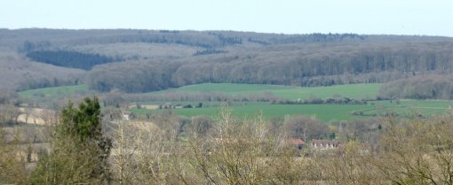 La préservation des lisières contribue à maintenir un paysage qualitatif de transition entre les paysages forestiers et agricoles ouverts (Villaines-la-Carelle) en grand format (nouvelle fenêtre)