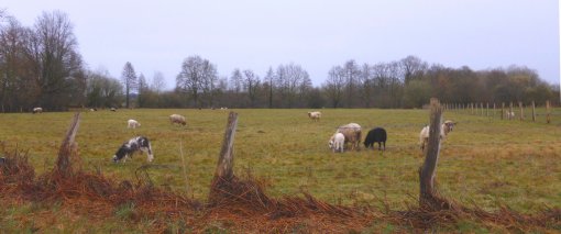 Les activités de poly-élevage se maintiennent dans les vallées (Écommoy – 2015) en grand format (nouvelle fenêtre)