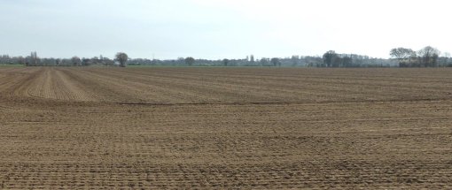 Le développement de l'activité céréalière contribue progressivement à créer un paysage de champs ouverts (Sainte- Jamme-sur-Sarthe – 2015) en grand format (nouvelle fenêtre)