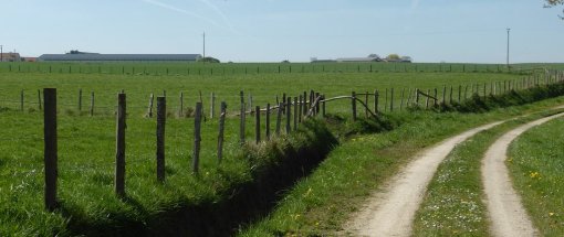 La préservation des chemins ruraux et leur valorisation favorise la découverte des paysages (Marolles-les-Braults) en grand format (nouvelle fenêtre)