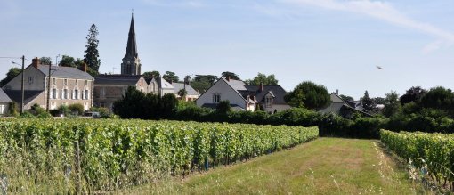 Des bourgs intégrés dans la végétation qui constituent des repères sur le plateau et sur le val de Loire (Épiré) en grand format (nouvelle fenêtre)