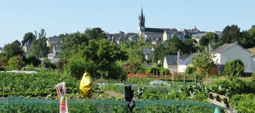 La préservation des jardins privatifs à proximité des bourgs participe au cadrage des extensions urbaines (Pouancé) en grand format (nouvelle fenêtre)