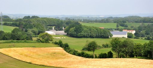 Un bocage dense reliant les collines boisées, ponctuées d'exploitations agricoles aux bâtiments souvent imposants (Pouzauges) en grand format (nouvelle fenêtre)