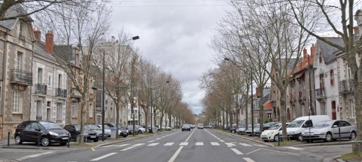 Ambiance d'avenue plantée (Nantes) en grand format (nouvelle fenêtre)
