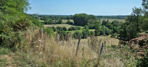 Des vues en promontoire sur la vallée de la Sarthe et ses prairies bocagères inondables au sud (Voivres-lès-le-Mans) en grand format (nouvelle fenêtre)