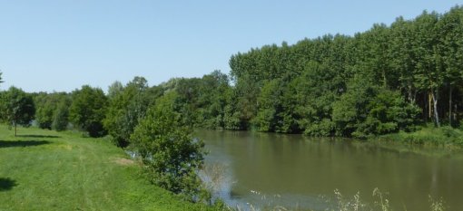 Le développement des peupleraies participe également à la fermeture des paysages de la vallée du Loir (Seiches-sur-le-Loir - 2015) en grand format (nouvelle fenêtre)