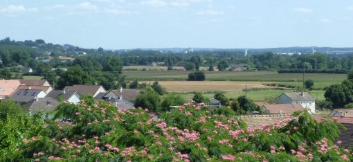 Des bourgs étendus par une ceinture pavillonnaire en contact visuel avec les paysages périurbains de l'agglomération mancelle (Saint-Georges-du-Bois) en grand format (nouvelle fenêtre)