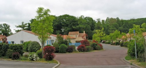 Des paysages pavillonnaires qui investissent la trame bocagère d'une palette végétale horticole accompagnant des quartiers d'habitat étendus (Saint-Jean-de-Boiseau) en grand format (nouvelle fenêtre)