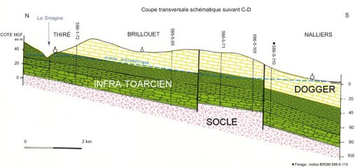 Coupe transversale schématique nord-sud de Thiré à Nailliers (Source : Notice de la carte géologique BRGM au 1/50.000, feuille n° 0586) en grand format (nouvelle fenêtre)