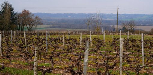Dans le secteur de Marçon, quelques parcelles viticoles sont encore visibles sur les hauteurs des coteaux (2013) en grand format (nouvelle fenêtre)