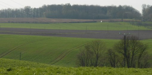 Sur les plateaux, le développement de l'agriculture céréalière favorise l'ouverture des paysages (Bonnétable – 2015) en grand format (nouvelle fenêtre)