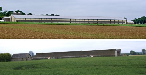Développement de nouvelles structures agricoles soulignant l'importance de l'activité agricole (Fontaine Couverte) en grand format (nouvelle fenêtre)