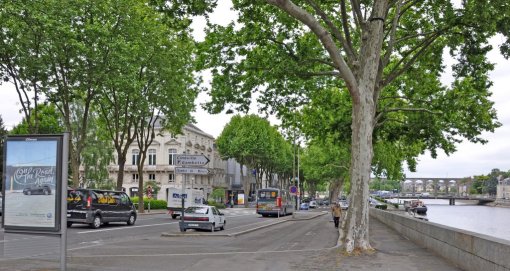 Double alignement d'arbres sur les quais de la Mayenne (Laval) en grand format (nouvelle fenêtre)