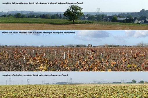 Ambiances de la plaine semi-ouverte des bosquets et vignobles du Thouet en grand format (nouvelle fenêtre)