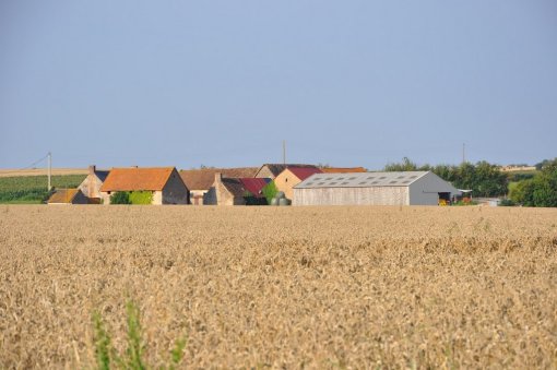 Des exemples intéressants de nouveaux bâtiments agricoles qui prolongent de manière harmonieuse les hameaux traditionnels (Neuvy-en-Champagne) en grand format (nouvelle fenêtre)