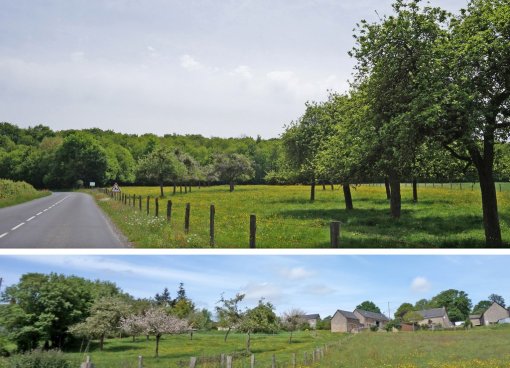 Un patrimoine devenu anecdotique : Vieux vergers en appui sur le Bois de Gondin (Montflours) et accompagnant une ferme (Andouillé) en grand format (nouvelle fenêtre)
