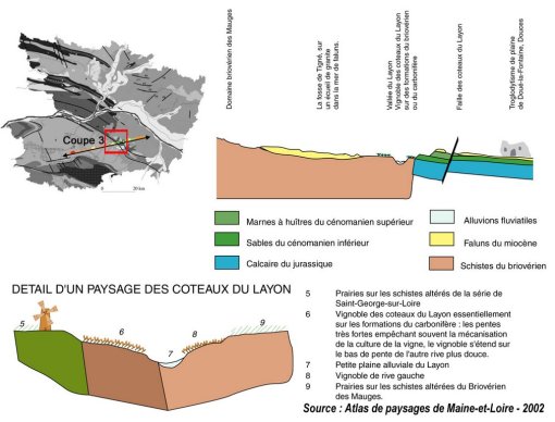 Coupes transversales de principe permettant de comprendre le relief du coteau du Layon expliqué par son contexte géologique en grand format (nouvelle fenêtre)