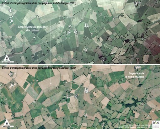 Simplification du paysage rural entre 2001 et 2006 sur le secteur sud de Dangeul (source IGN) en grand format (nouvelle fenêtre)